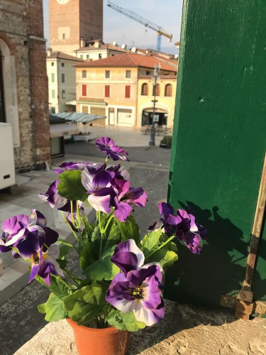 B&B Ca' Garibaldi
