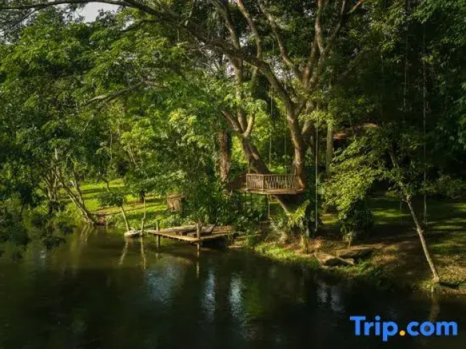 Kenaray Farmstay Riverside