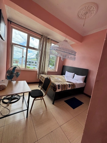 Deluxe Double room with city view