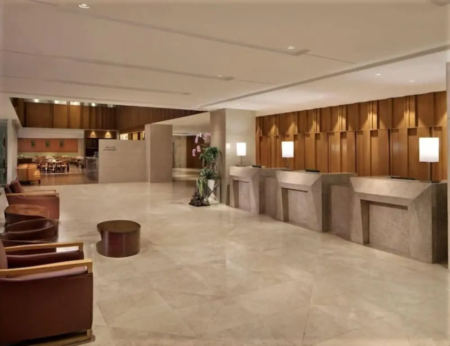 Ion Hotel