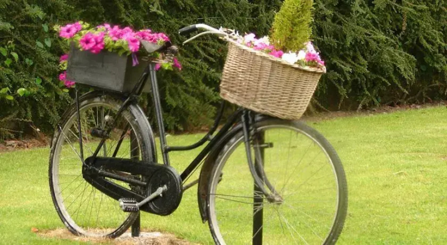 Louth Hall Bed and Breakfast