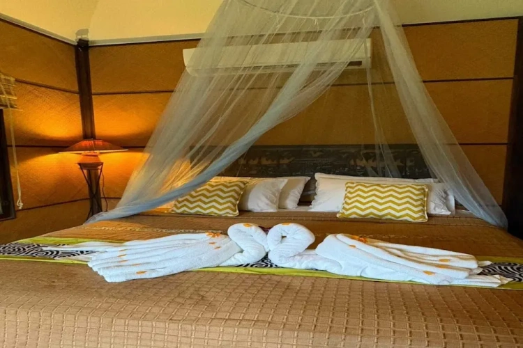 Deluxe Double room with balcony and with pool view