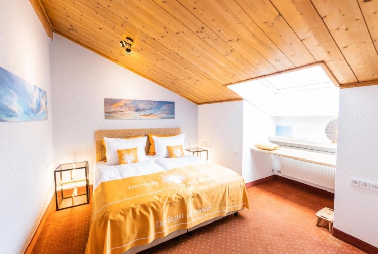 Economy Double Attic room