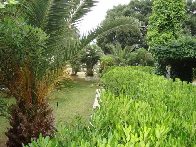 HRS Hotel Sabatino