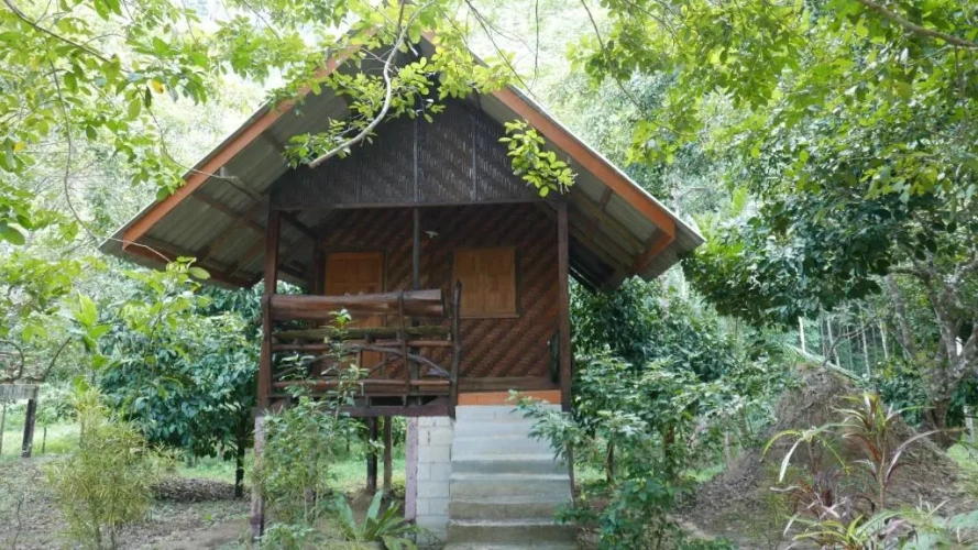 Double Bungalow with garden view