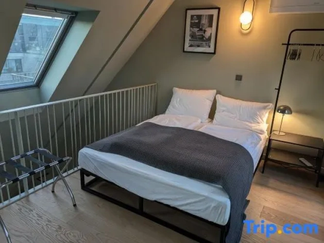 Penthouse Apartment