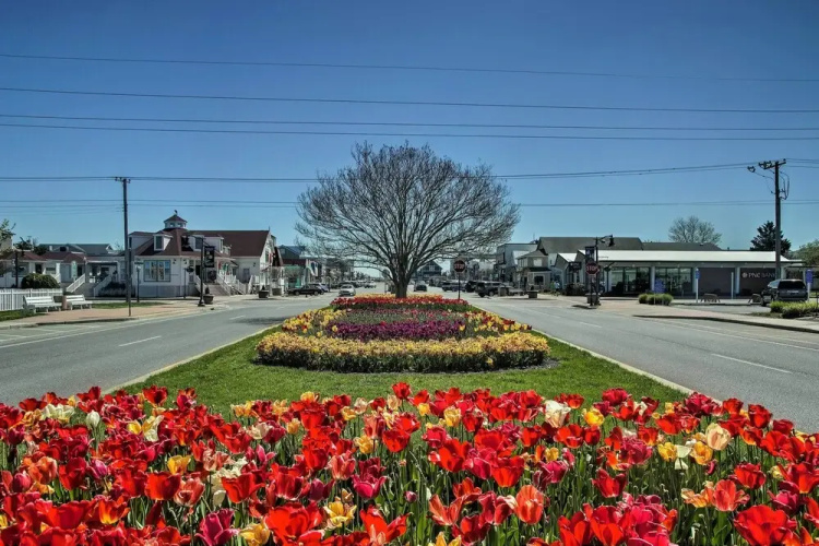 Walk to Bethany Beach Boardwalk: Coastal Retreat