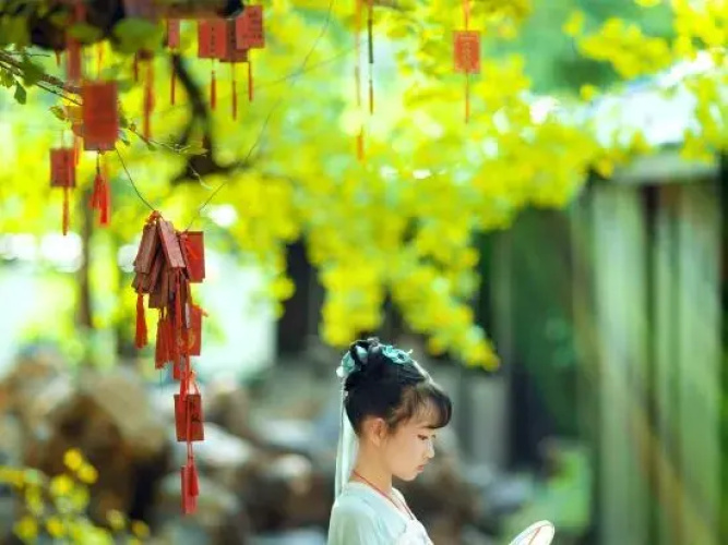 Ginkgo Village