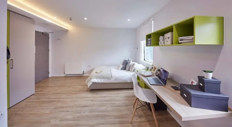 Beautiful Studio In Kingston Area