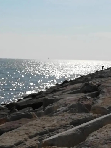 Casamarin8