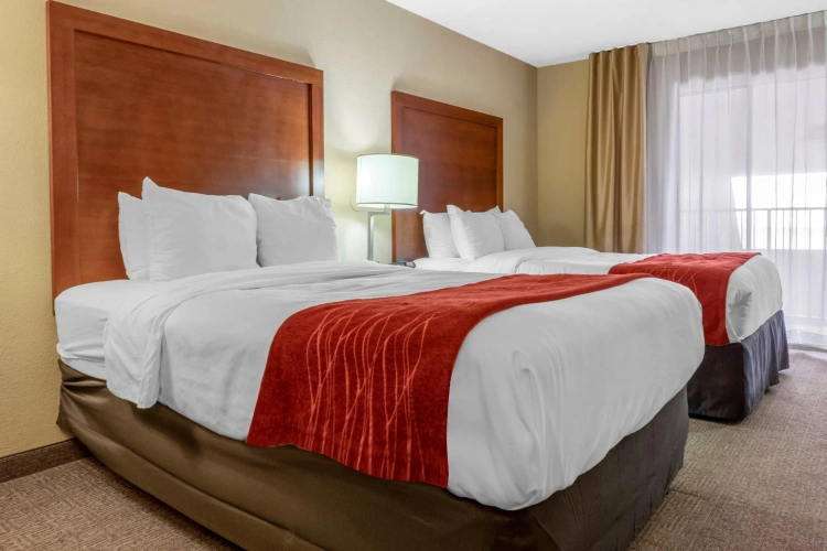 Standard Quadruple room