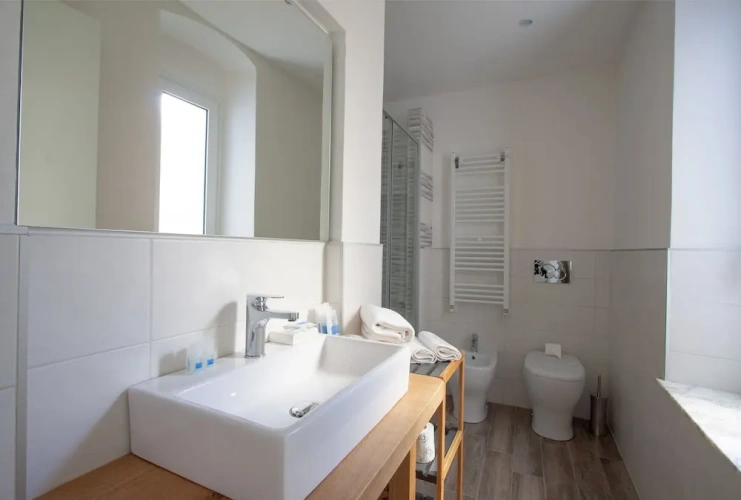Deluxe Double room with balcony