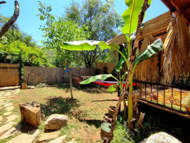 Tiny House Ceviz Kayaköy Jungle Camping