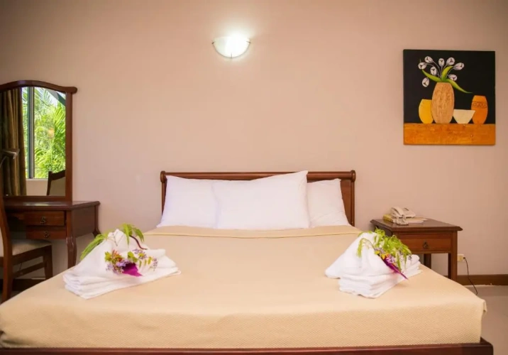 Standard Double Suite with view