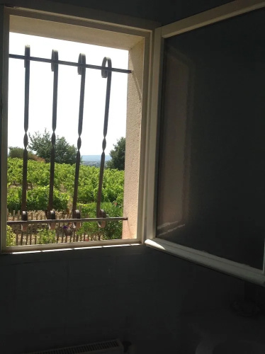B&B Acanthus
