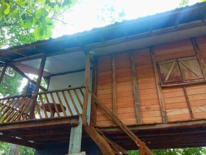 Peafowl Tree Lodge