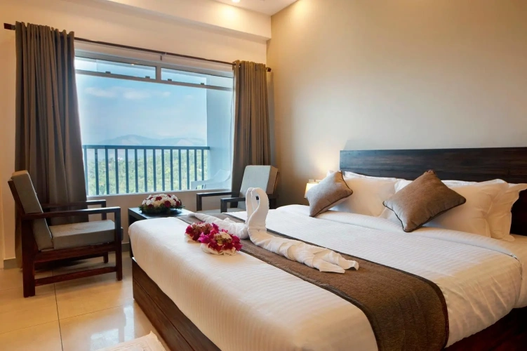 Premium Double room with balcony and with view