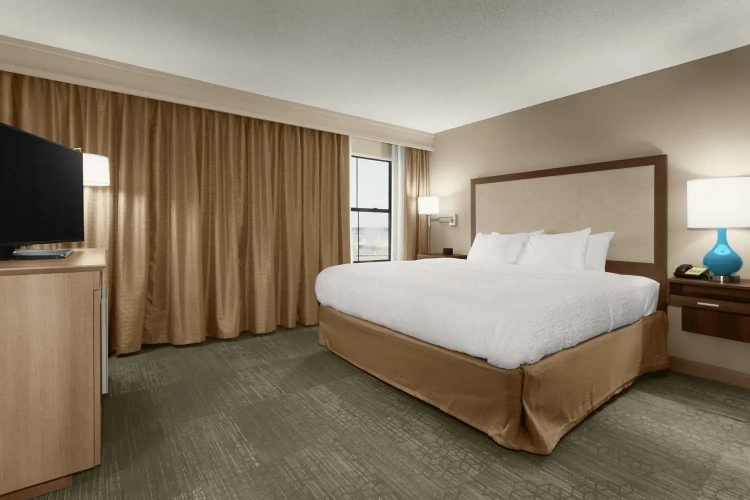 1 Bedroom Double Suite