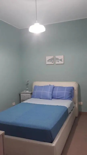 Ze-Vi Home