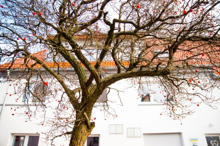 Gaestehaus Lamm