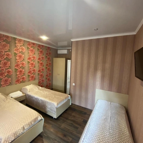 Standard Triple room with view