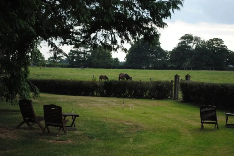 Standard Double room with view