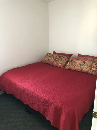 Comfort Studio
