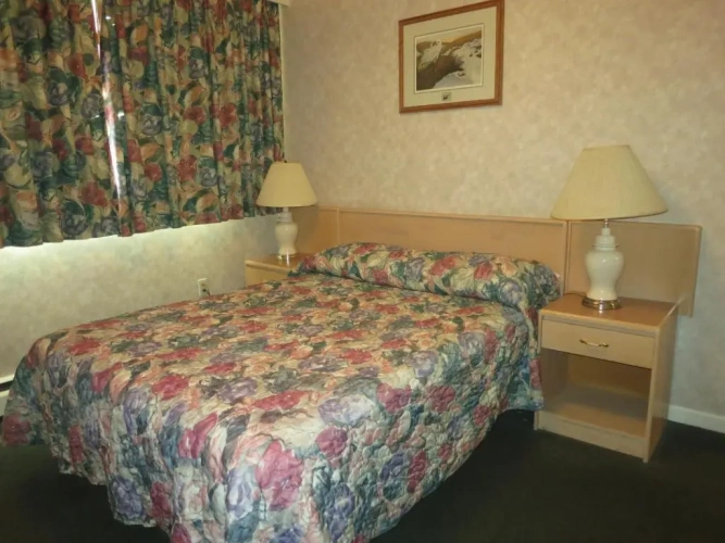 1 Bedroom Suite