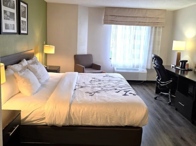 Premium Double room