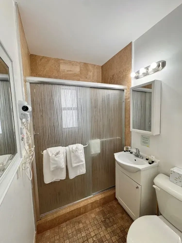 Deluxe Double Suite with view