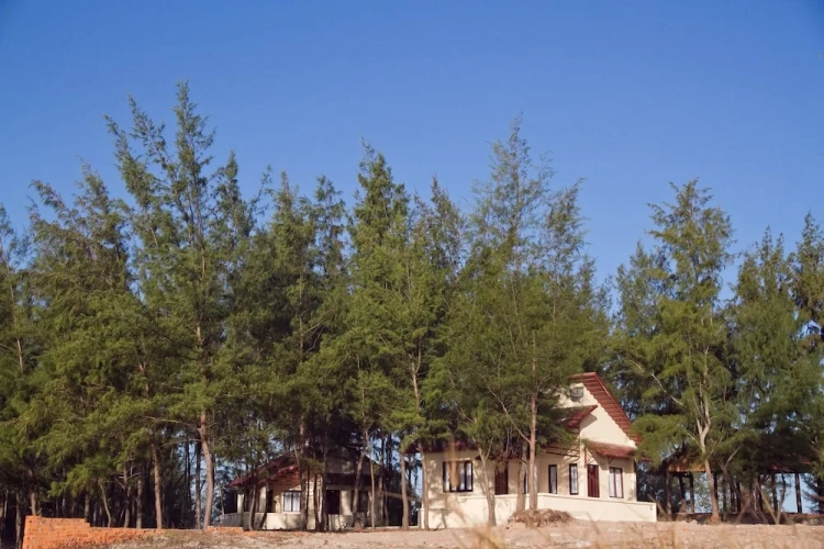 Deluxe Double Bungalow