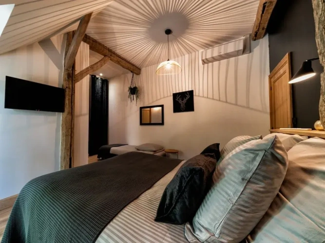 Deluxe Triple room with park view