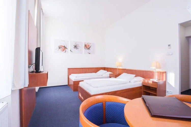 Hotel Lev