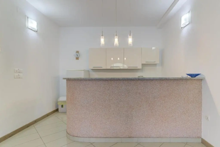 1 Bedroom Basement Apartment