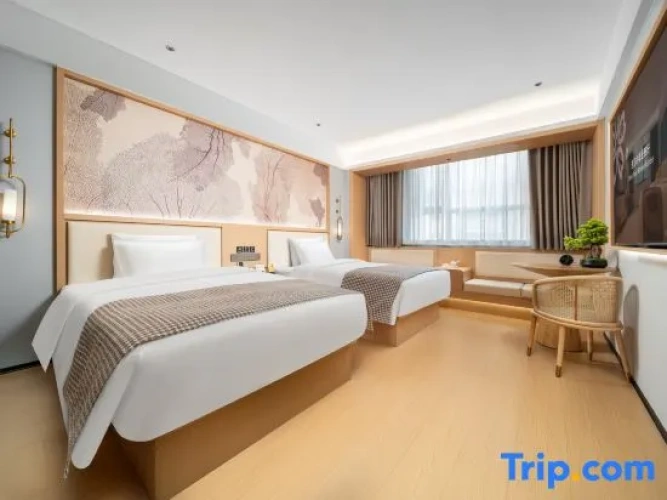 Standard Double room with mountain view