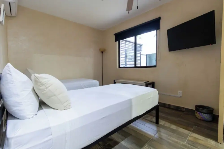 Single Duplex Suite