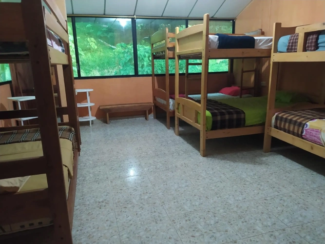 Bed in Dorm