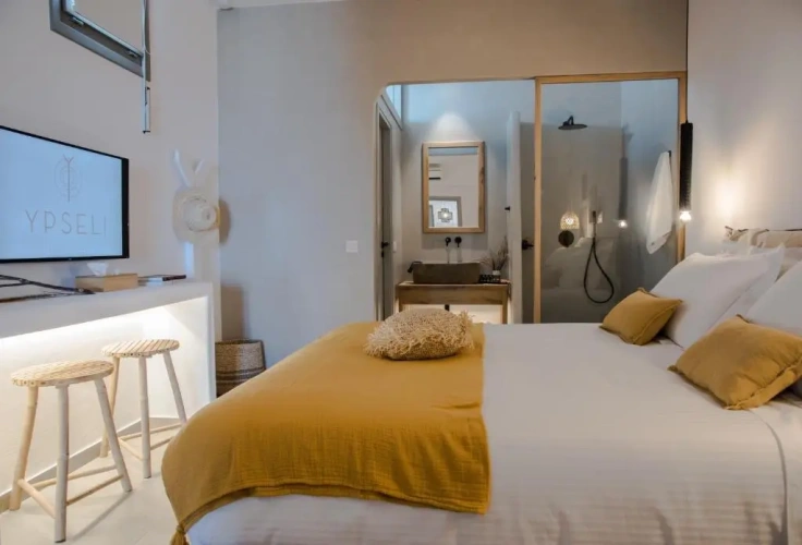 1 Bedroom Deluxe Double Suite with sea view