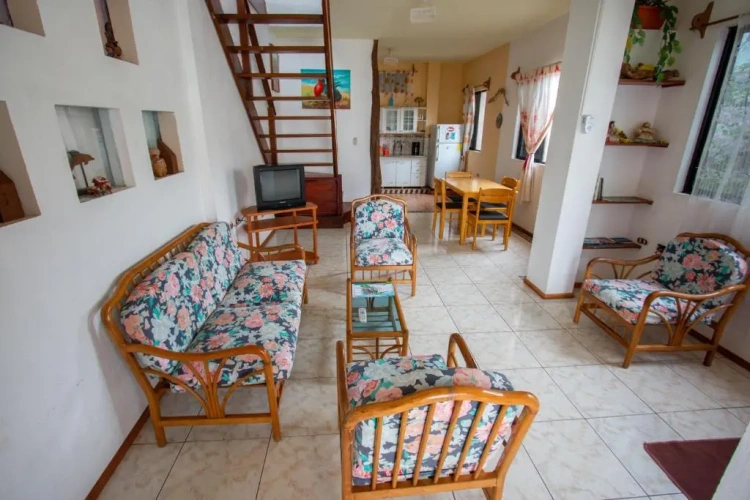 Basement Apartment with view