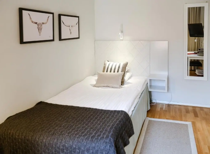 Standard Single room with view