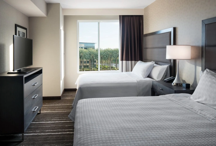 1 Bedroom Suite
