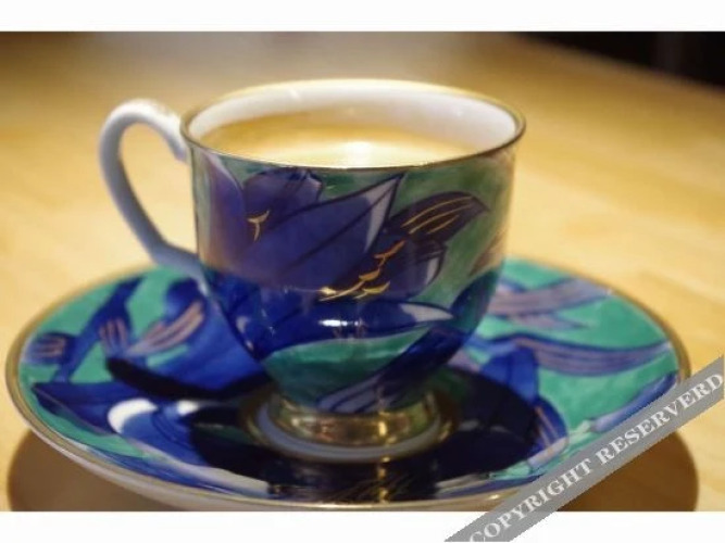 Ryokan KatsurasoOver view