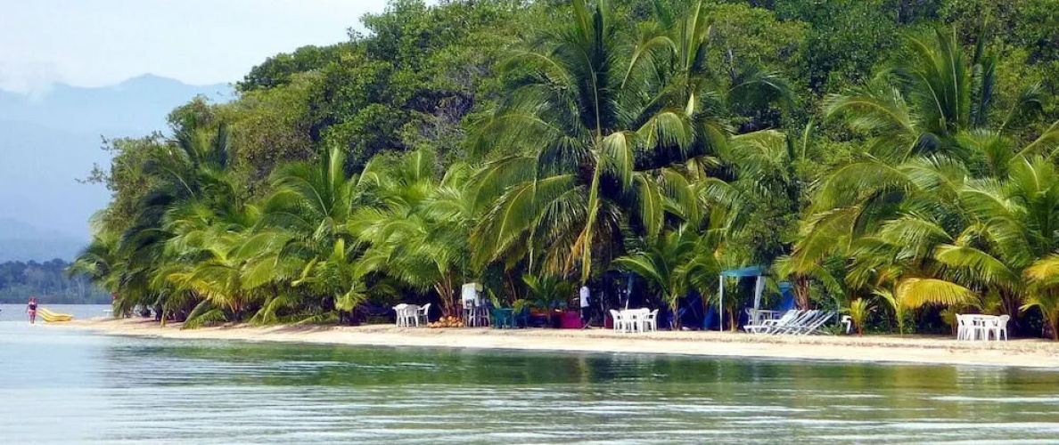 Paradise Waits