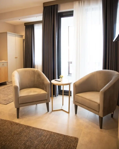 Standard room with balcony and with mountain view