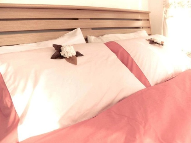 Standard Double room with mountain view