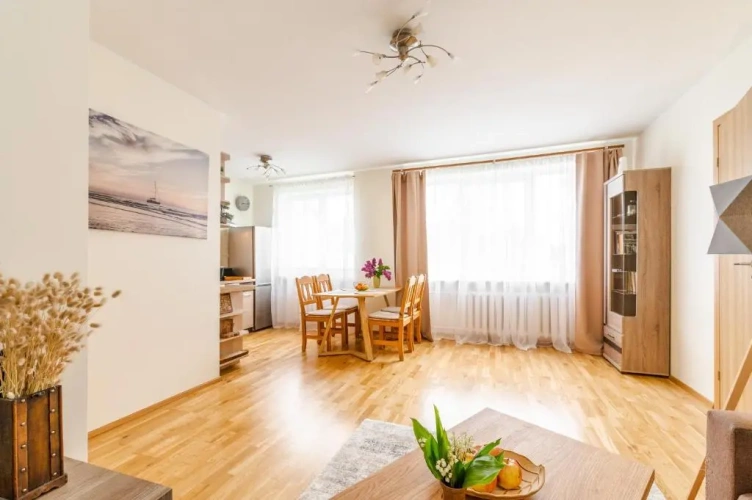 1 Bedroom Apartment