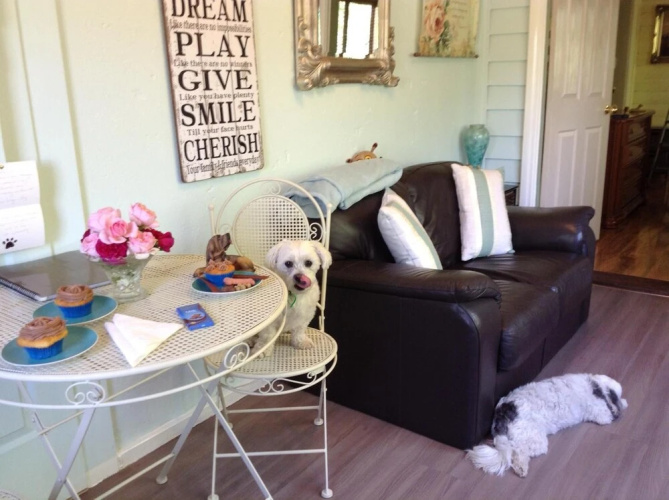 Must Love Dogs B&b
