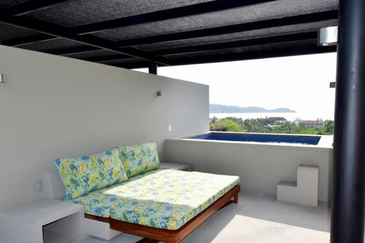 Agaves 203