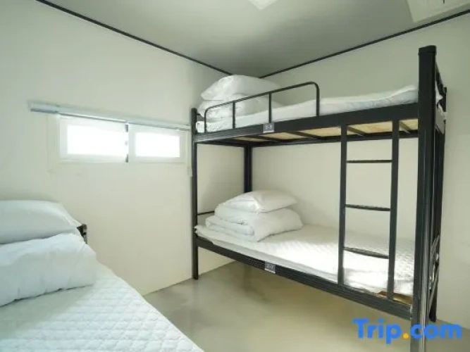 3 Bedrooms Bed in Dorm