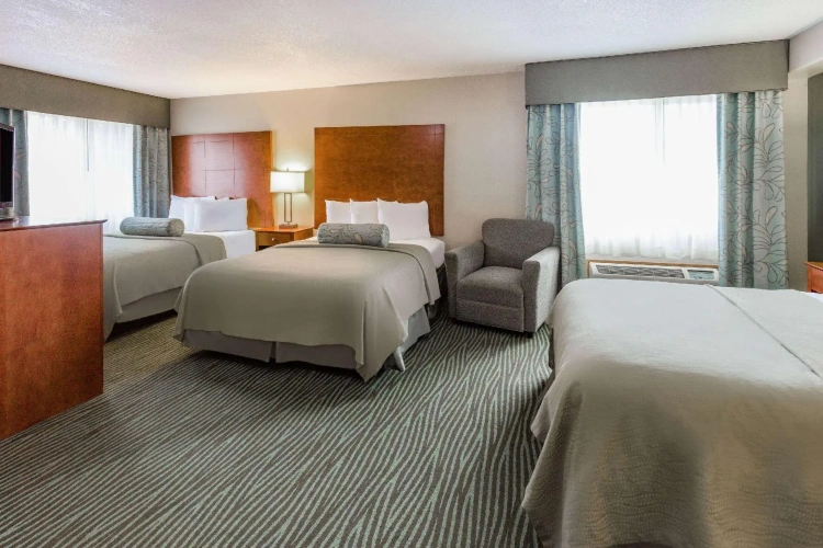 Standard Sextuple room